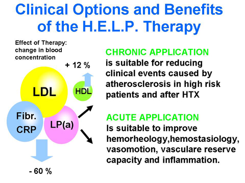 H.E.L.P. figure